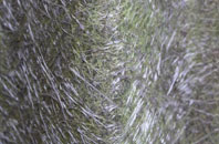 Cononley Woodside fibreglass roof work